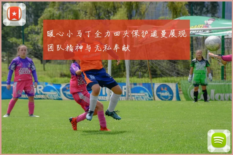 暖心小马丁全力回头保护道曼展现团队精神与无私奉献