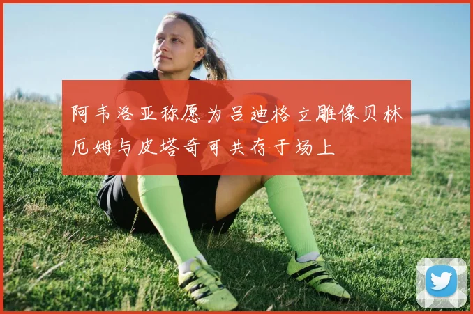 阿韦洛亚称愿为吕迪格立雕像贝林厄姆与皮塔奇可共存于场上