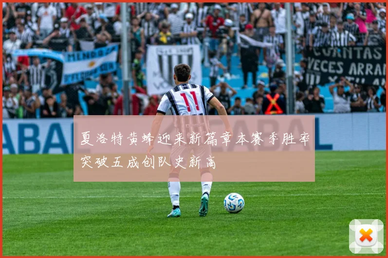 夏洛特黄蜂迎来新篇章本赛季胜率突破五成创队史新高
