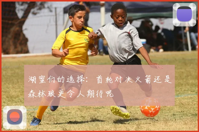 湖蜜们的选择：首轮对决火箭还是森林狼更令人期待呢